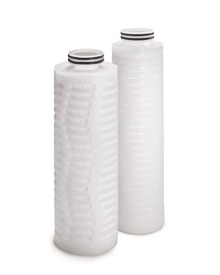Entegris Etchgard™ HP / HPX 过滤器