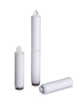 Entegris LPT 系列 PTFE 筒式滤芯