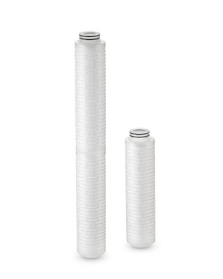 Entegris Trinzik™ PEH 水系工艺过滤器