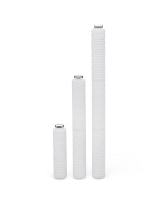 Entegris Trinzik™ UPW T015 过滤器